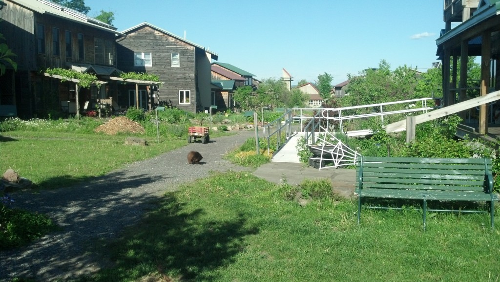 Visit to Ecovillage at Ithaca Ecovillage New Jersey